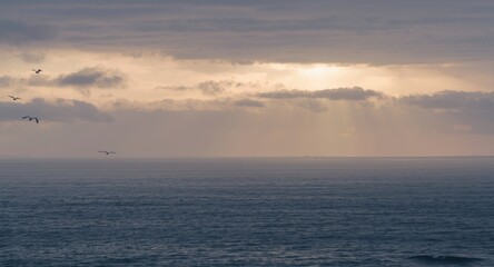 Obraz premium peaceful ocean scene under a cloudy sky at dawn