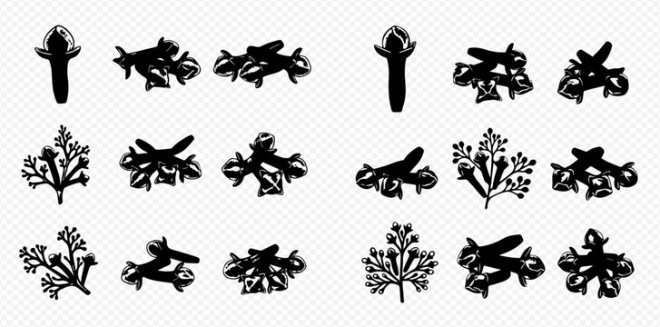 Set of black silhouette spice herbs, leaves, and cloves on a transparent background, vector illustration.