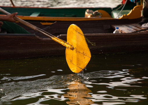 Shikara yellow paddle in Dal Lake, Jammu and Kashmir, Srinagar, India