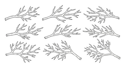 A collection of various types of tree branches and twigs with leaves Vector © rohan