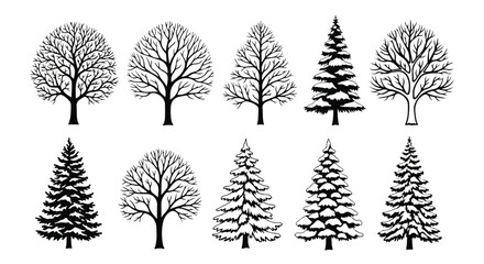 A collection of various tree illustrations showcasing different shapes and styles Vector © rohan