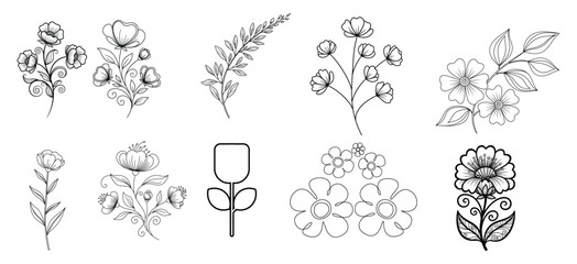 Botanical illustrations of various plant species © GRAPHIC