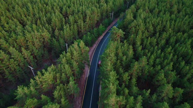 Aerial red car driving along winding mountain road through green forest, trip for travel and adventure in Borovoe Kazakhstan.