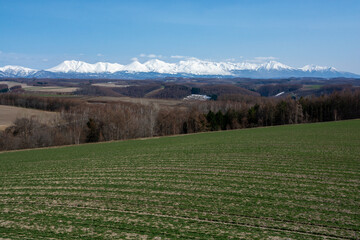 春の丘陵畑作地帯と残雪の山並み　十勝岳連峰

