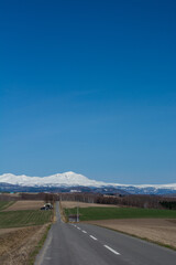 春の丘陵畑作地帯と残雪の山並み　大雪山
