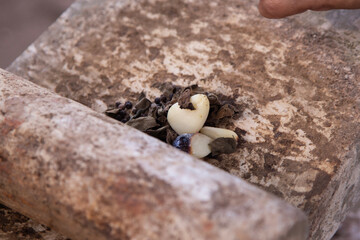 Obraz premium Preparing Mexican black recado on a traditional metate in the Yucatan Peninsula. A paste of spices and chilies used in Yucatecan cuisine.