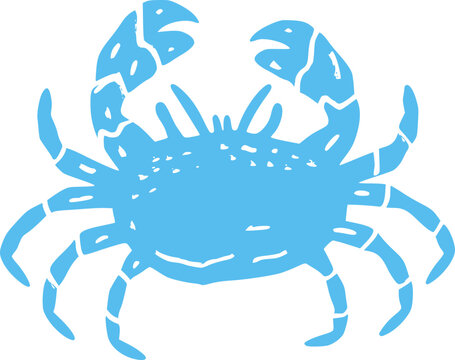 Coastal Summer Blue Crab Illustration Hand Drawn
