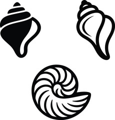 Black and white illustration of three seashells