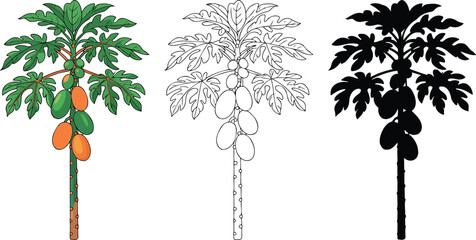 Fototapeta premium Papaya tree silhouette & Outline and illustration set isolated on transparent background