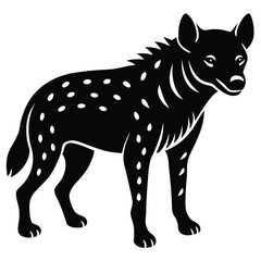 Fototapeta premium Hayna White Background Vector EPS for Graphic Design