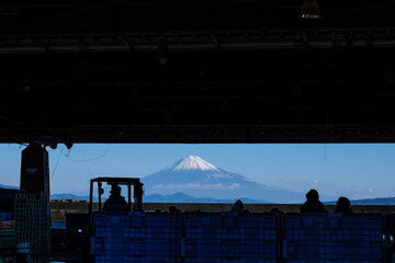 静岡県焼津市の小川漁港のシルエットと建物の間から望む冬の富士山
