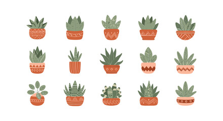 Collection of small potted succulents plants.