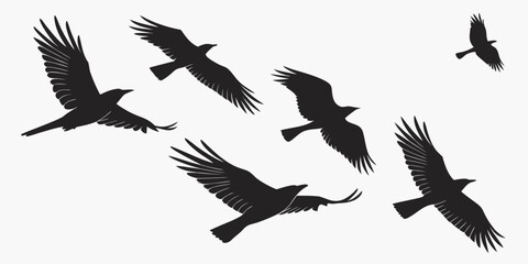 Obraz premium A flock of birds in flight against a white background Vector