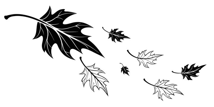 A detailed illustration of various leaves falling from a tree in black and white Vector