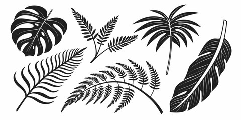 A collection of various tropical leaves and ferns in black and white Vector © rabby