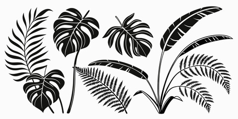 A detailed illustration of various tropical leaves showcasing their unique shapes and textures. Vector © rabby
