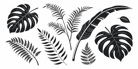 A diverse collection of tropical and exotic leaves showcasing nature's intricate designs Vector © rabby
