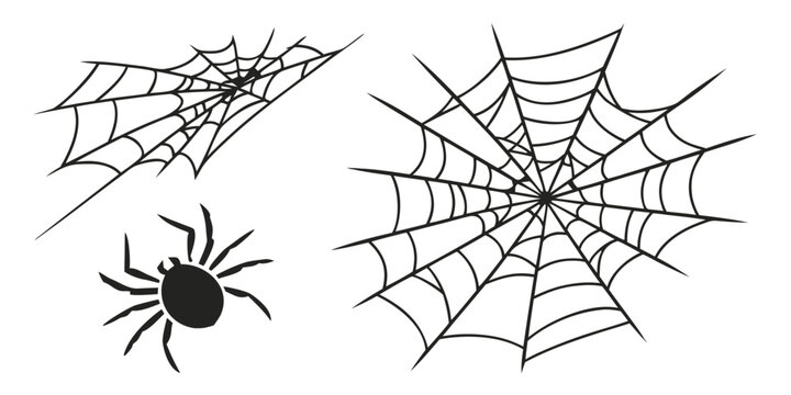 Three different types of spider webs with a spider depicted in the lower left corner Vector