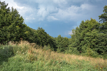 Stormy Sky over Beech Forest Meadow in the Carpathians