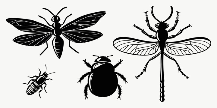 A diverse collection of insects showcasing their unique body structures and sizes. Vector