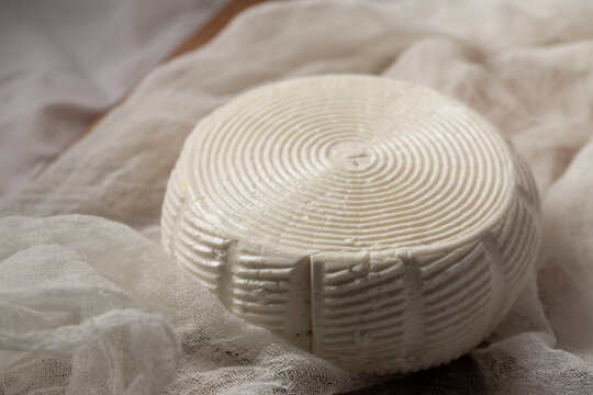 A head of goat cheese bryndza in gauze
