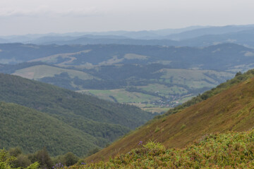 Obraz premium Summer View of the Carpathians in Borzhava Valley
