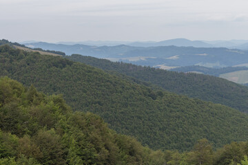  Summer View of the Carpathians in Borzhava Valley