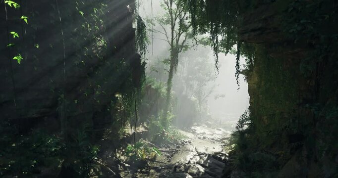 Bright rays of sunlight illuminate a misty jungle path surrounded by dense vegetation. Plants thrive in the humid environment, creating an enchanting atmosphere.