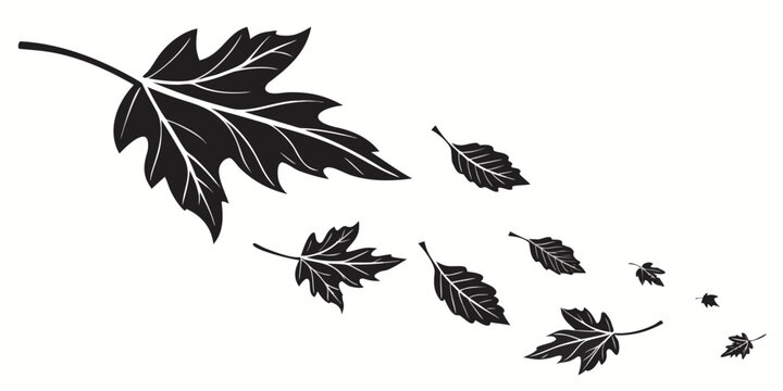 A single leaf with smaller leaves trailing behind it in a line Vector