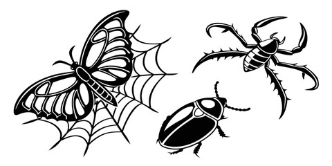 Intricate black and white illustrations of a butterfly, spider, and beetle Vector © rabi