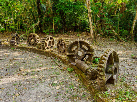 19th-Century Sugar Mill Ruins near Lamanai Archaeological Reserve, Indian Church, Orange Walk District, Belize