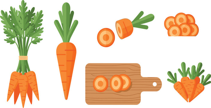 Carrot Vegetable Set Whole Bunch Sliced on Cutting Board Fresh Organic Farm Food Ingredient Flat Vector Illustration Collection