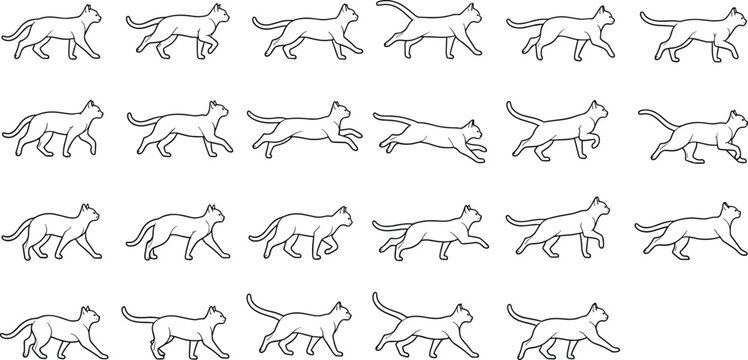 Vector illustration set of cat animation frames featuring a line art sequence of a cat walking, trotting, and sprinting isolated on white background.
