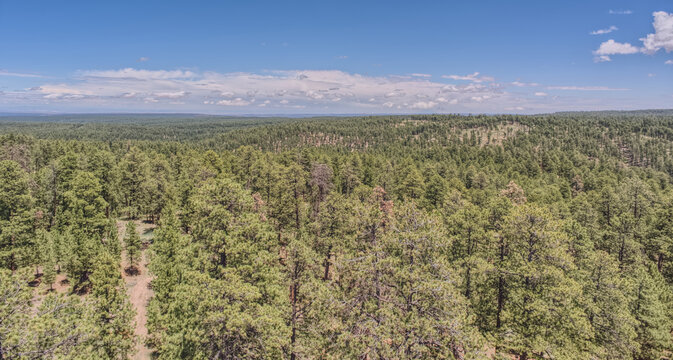 View from the 80 foot tall historic Fire Watchtower at Jacob Lake, Arizona, USA
