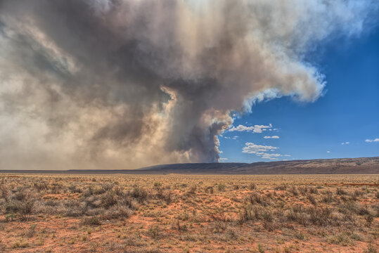 Smoke from the Dragon Bravo Wildfire burning on Grand Canyon North Rim billowing off the Kaibab Plateau, United States
