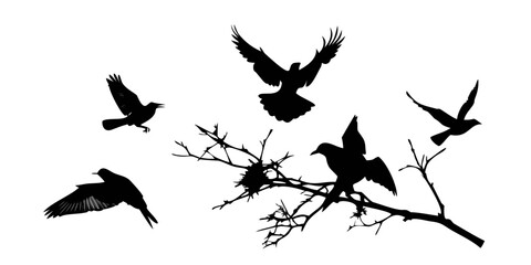 Obraz premium Silhouettes of birds perched and flying around a bare tree branch Vector