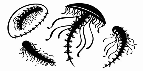 A diverse collection of jellyfish showcasing various shapes and sizes Vector © Akshay