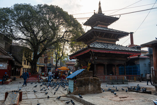 Pigeons flocking around devotees in the open courtyard of Luti Ajima temple, Patan, Nepal