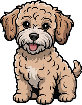 Cute cartoon a illustrator vector Schnoodle