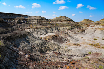 Obraz premium Badlands in the Dinosaur Provincial Park, Alberta, Canada