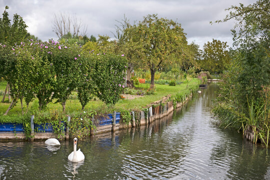 Marshes of the YĂ&Acirc;&uml;vre and Voiselle, Bourges, Cher department, Province of Berry, Centre-Val de Loire region, France