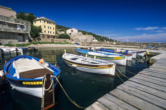 Fishing boats in the harbour of Erbalunga, commune of Brando, Cap Corse, Haute-Corse, Northern Corsica, France, Europe