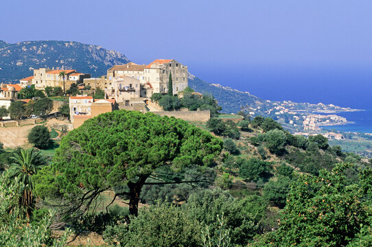 Pigna, village of the Balagne region, Upper Corsica, Northern Corsica, France, Europe