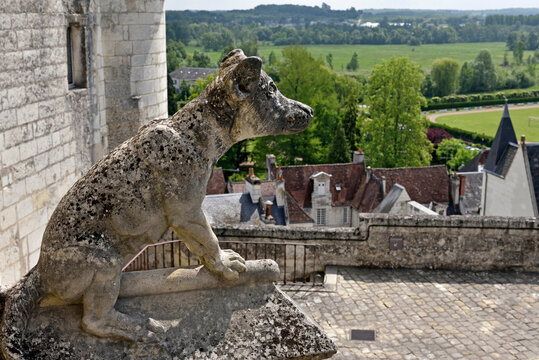 Dog sculptures adorning the entrance staircase of the Royal House within the Cite Royale of Loches in Touraine, department of Indre-et-Loire, Centre-Val de Loire region, France, Europe