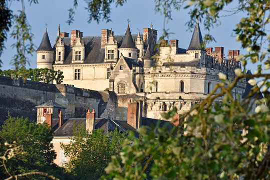 Chateau d'Amboise on the Loire River at Amboise, Touraine, department of Indre-et-Loire, Centre-Val de Loire region, France, Europe