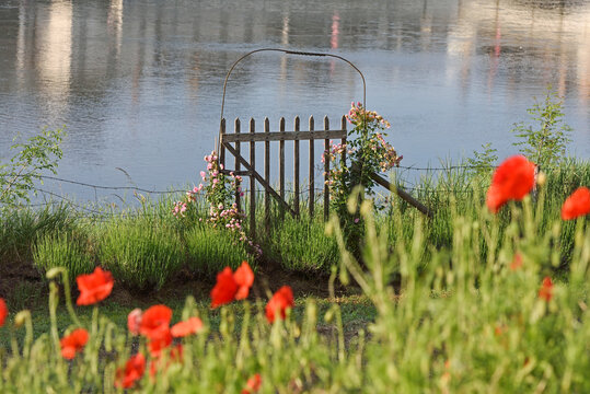 Garden by the Loire River, Amboise, Touraine, department of Indre-et-Loire, Centre-Val de Loire region, France, Europe