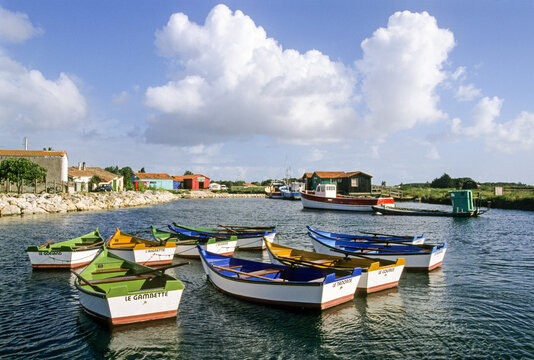 Rowing boats, Oleron island, Bay of Biscay, Charente-Maritime department, Poitou-Charentes region, France, Europe