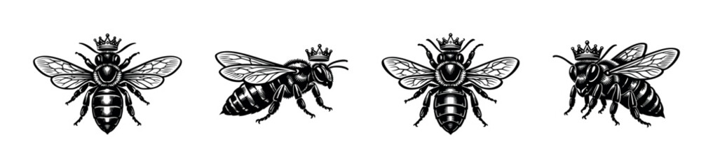 Bee flat vector icons set: royal insect illustrations with crowns for design projects