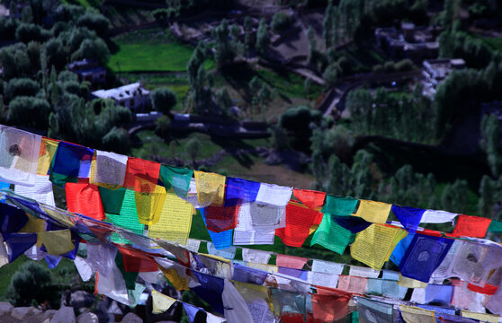 Prayer flags flying above the city of Leh, the capital of Ladakh, India