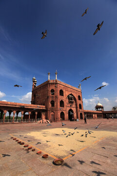 The Masjid-i-Jehan-Numa, commonly known as the Jama Masjid of Delhi, is one of the largest mosques in India